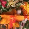 Комплект постельного белья ТАС “Exotic Paradise”  евро - Фото 3