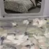 Комплект постельного белья ТАС “Jamie” pudra - Фото 5 Комплект постельного белья ТАС “Jamie” pudra - Фото 5