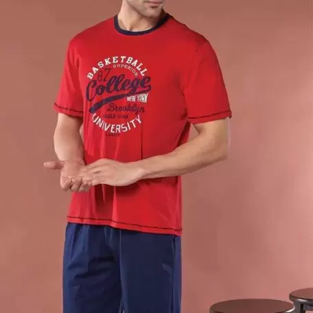 Комплект мужской из футболки и шорт SEVIM 9129